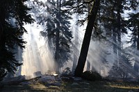 Lukens Fire. Morning light streams through a smoke filled sky during the Lukens and County Line fires. Photo by Lori Iverson, NPS. Original public domain image from Flickr
