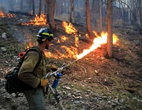 2022 BLM Fire Employee Photo Contest Category - Fuels ManagementA wildland firefighter ignites fuel during the 2022 Kyune Creek prescribed fire near Soldier Summit, Utah. Photo by Austin Catlin, BLM