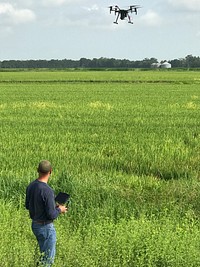 Technological advances have made small, unmanned aircraft systems (sUAS or drones) less expensive and more powerful. As a result, the devices are becoming useful tools for wildlife damage assessments and management. USDA-APHIS Wildlife Services is evaluating the effectiveness of different sUAS designs to disperse birds from crop fields and airport environments.