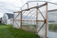 Greenhouse, organic farm.