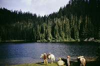 Historic Gifford Pinchot National Forest Photos