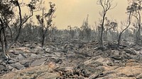 Post-wildfire burned over lava flow at the Leilani-Pohakuloa Training Area in Hawaii. 