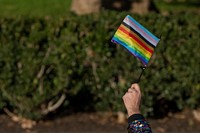 Person waving Pride Flag.