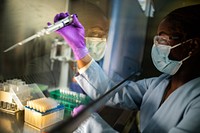 Brook Davis, a Molecular and Microbiology summer intern from University of Arkansas at Pine Bluff prepares algae samples for a microbiome investigation at Sandia National Laboratories.