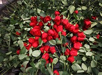 Roses rest neatly stacked at the center of the National Law Enforcement Officers Memorial during a wreath-laying ceremony hosted by the National Treasury Employees Union to honor fallen CBP officers in Washington, D.C., March 2, 2023. 