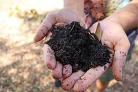 Farmer holding healthy soil.