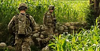 U.S. Army Spcs. Kyle Graves (right) and Michael Bartolo navigate through rice paddies and corn fields while on a combat patrol to sweep for roadside bomb triggermen in the Alingar district in Afghanistan's Laghman province, on Aug. 7, 2011.
