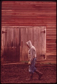 Farmer John Dolezal in rain gear passes his barn during downpour. Problems were increased for local farmers this year by double the normal rainfall, May 1973. Photographer: O'Rear, Charles. Original public domain image from Flickr
