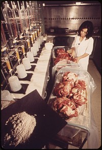 From red meat to ash--a four week laboratory procedure for measuring gamma radiation at EPA's Las Vegas National Research Center, May 1972. Photographer: O'Rear, Charles. Original public domain image from Flickr