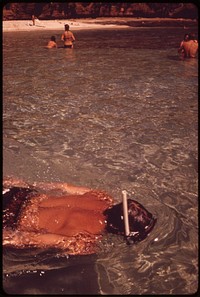 Koko Head Park in the Hanauma Bay marine life conservation district is a popular snorkeling and skin diving spot. All marine life is protected here, October 1973. Photographer: O'Rear, Charles. Original public domain image from Flickr