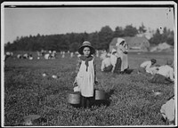 Merilda, carrying cranberries. Rochester, Mass, September 1911. Photographer: Hine, Lewis. Original public domain image from Flickr