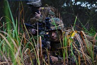 U.S. Marines with Golf Company, Battalion Landing Team, 2nd Battalion, 4th Marine Regiment, 31st Marine Expeditionary Unit participate in an amphibious landing during Talisman Saber 2013 in Rockhampton, Australia, July 20, 2013.