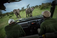 Two guides with Asilia Africa Camp look on as a herd of elephants pass a safari vehicle in Naboisho Conservancy bordering the Masai Mara National Reserve in Kenya