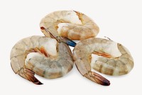 Fresh shrimps, isolated design