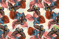 Butterfly botanical seamless pattern background, exotic nature remix from The Naturalist's Miscellany by George Shaw