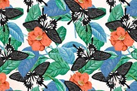 Vintage butterfly seamless pattern background, nature remix from The Naturalist's Miscellany by George Shaw