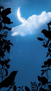 Crescent moon sky iPhone wallpaper, birds illustration
