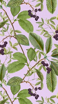 Vintage leaf pattern mobile wallpaper illustration by Pierre Joseph Redouté. Remixed by rawpixel.