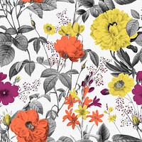 Vintage Summer flower pattern illustration by Pierre Joseph Redouté. Remixed by rawpixel.