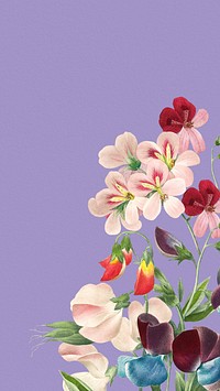 Sweet pea iPhone wallpaper, vintage flower border illustration by Pierre Joseph Redouté. Remixed by rawpixel.