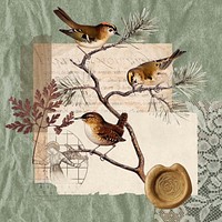 Autumn bird collage, nature aesthetic