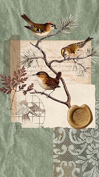 Autumn bird collage iPhone wallpaper, nature aesthetic background