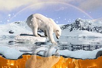 Polar bear environment background, north pole aesthetic