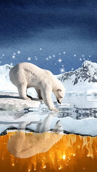 Polar bear environment phone wallpaper, north pole aesthetic