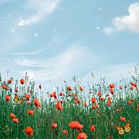 Aesthetic sky background, wildflower border remix 