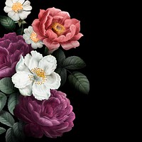 Aesthetic vintage watercolor flower border, black background illustration