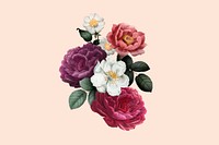 Vintage flower collage element, aesthetic botanical illustration