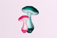 Neon mushrooms 