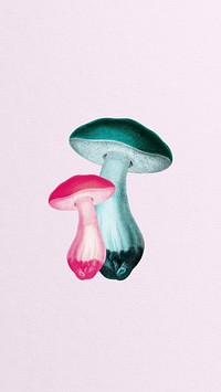 Neon mushrooms  iPhone wallpaper