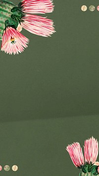 Blooming cactus, green iPhone wallpaper