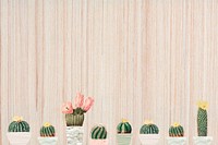 Cute cactus border, pink background design