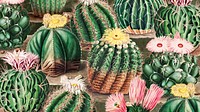 Watercolor cactus pattern desktop wallpaper