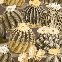 Yellow cactus pattern background design