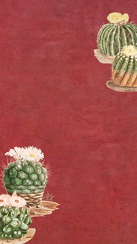 Red cactus illustration iPhone wallpaper