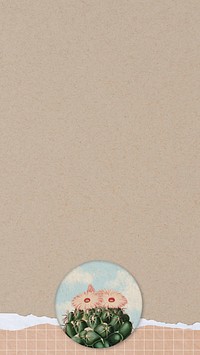 Beige paper, cactus iPhone wallpaper