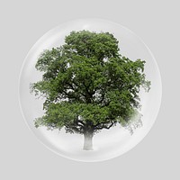 Big tree in bubble, nature concept art. Remixed by rawpixel.