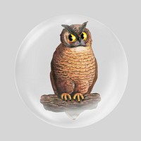 Vintage owl perching in bubble. Remixed by rawpixel.