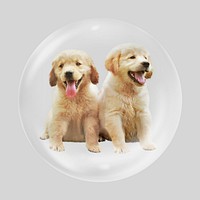 Cute puppies bubble, animal clipart