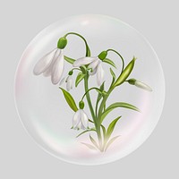 Snowdrop flower bubble effect collage element