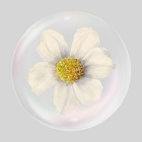 White flower bubble effect collage element