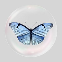 Blue butterfly bubble effect collage element