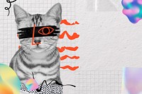 American shorthair cat, doodle collage with design space. Remixed by rawpixel.