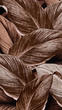 Brown leaf mobile wallpaper