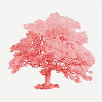 Pink big tree illustration psd