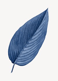 Vintage blue leaf illustration psd