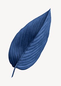 Vintage blue leaf illustration psd